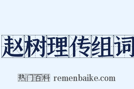 赵树理传组词是什么意思的图片